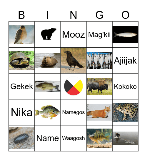 Ojibwe Animal Bingo Card