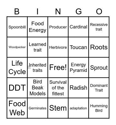 Science Bingo Card