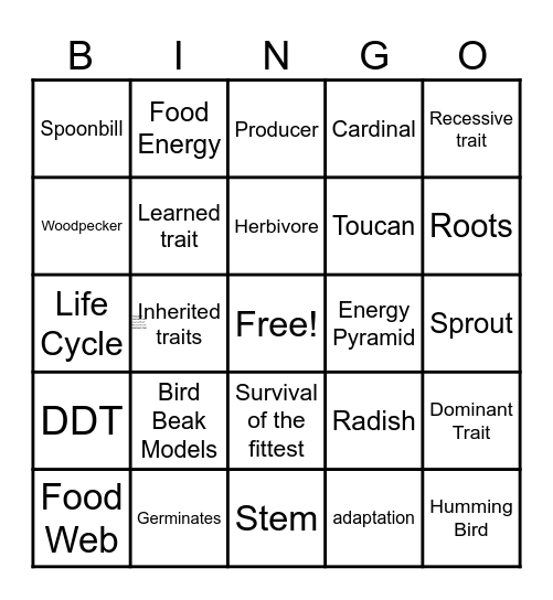 Science Bingo Card