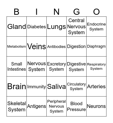 Body System Bingo Card