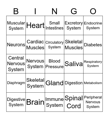 Body System Bingo Card