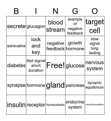 Endrocrine System Bingo Review 2 Bingo Card