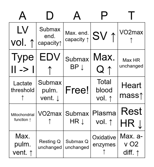 Adaptations to Aerobic + Anaerobic Training Bingo Card