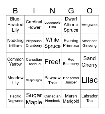 Canadian Plant Bingo Card