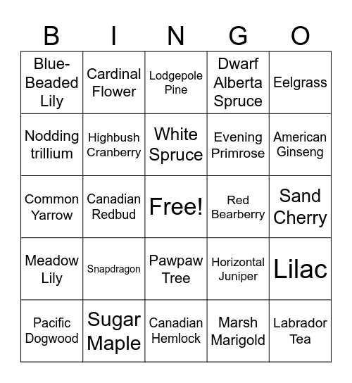 Canadian Plant Bingo Card