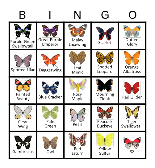 Butterfly Bingo Card