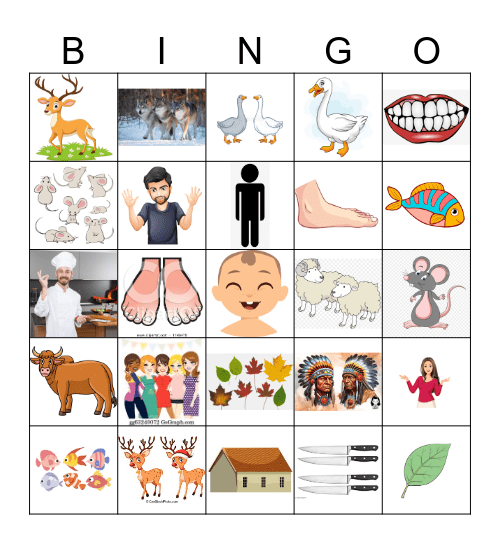 Irregular Plural Noun Bingo Card