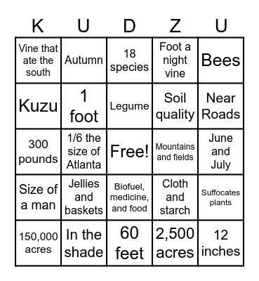 Camp Kudzu Bingo Card