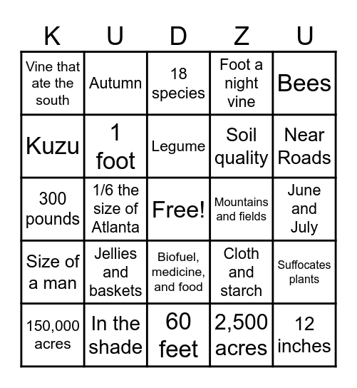 Camp Kudzu Bingo Card