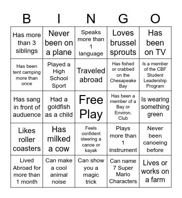 IceBreaker People Bingo Card