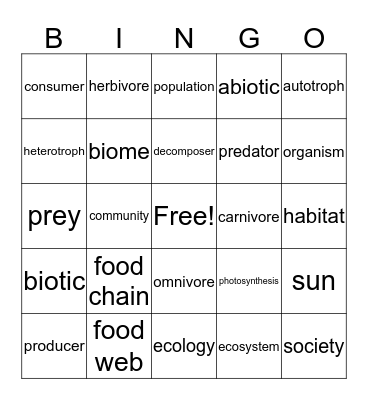 Food Chains and Webs Bingo Card