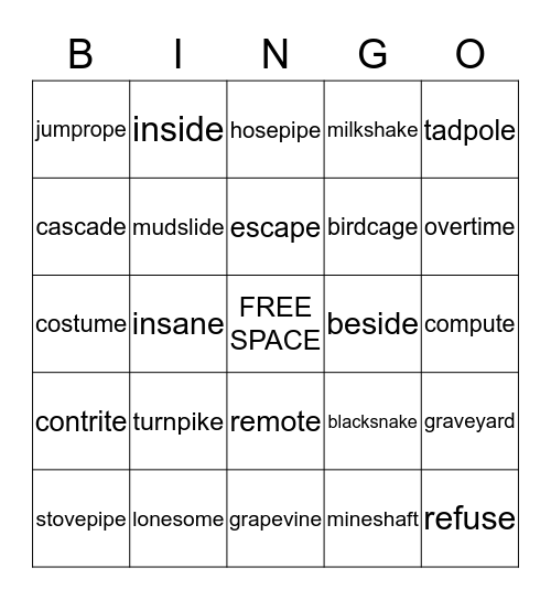 Long vowel silent e Bingo Card