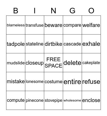 Long vowel silent e Bingo Card