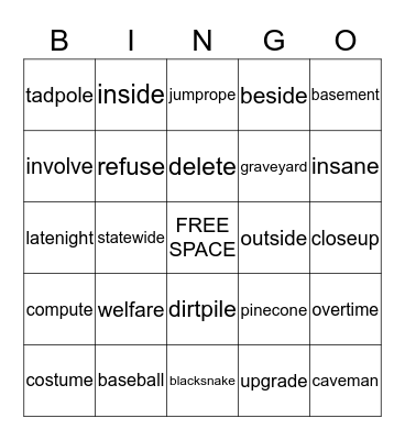 Long vowel silent e Bingo Card