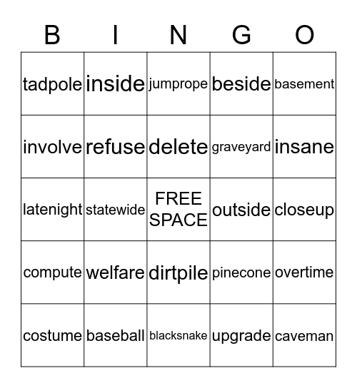 Long vowel silent e Bingo Card
