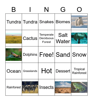 Biomes Bingo Card