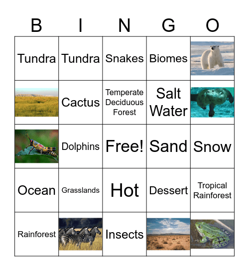 Biomes Bingo Card