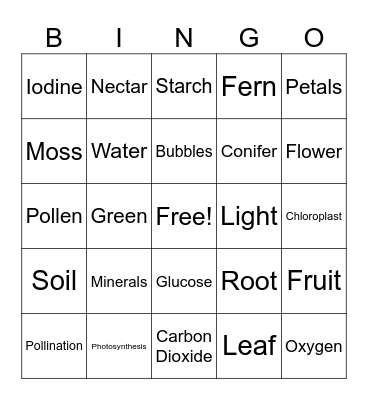 Plants and Photosynthesis Bingo Card