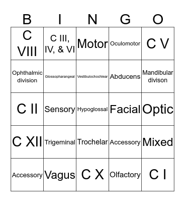 Cranial Nerve Bingo! Bingo Card