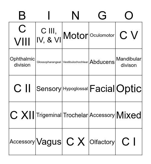 Cranial Nerve Bingo! Bingo Card