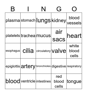 The Human Body System Bingo Card