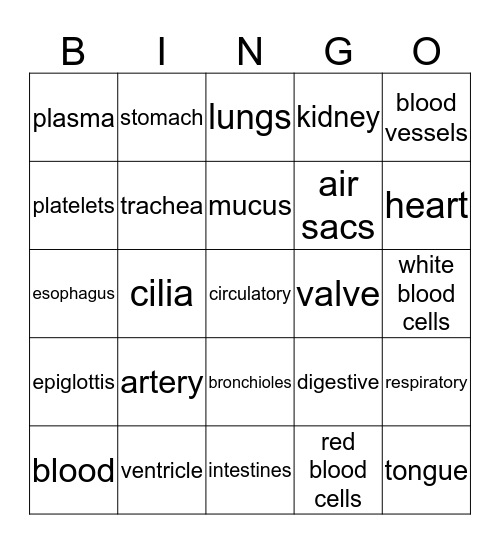 The Human Body System Bingo Card