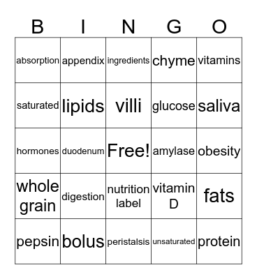 Digestion Bingo Card