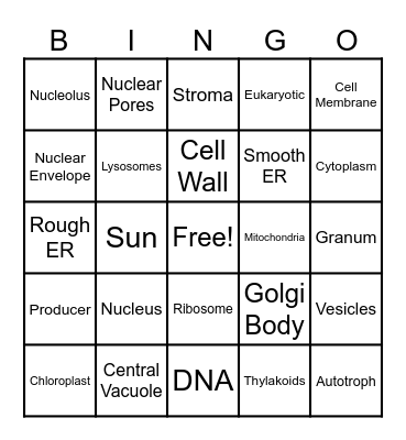 Plant Cell BINGO Card