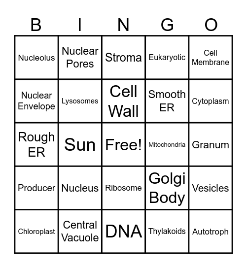 Plant Cell BINGO Card