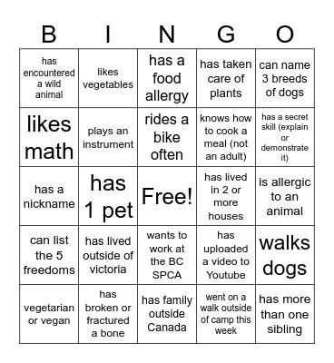 Camp Bingo Card