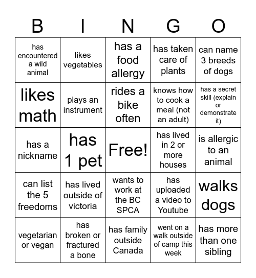 Camp Bingo Card