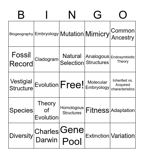 Evidence for Evolution Bingo Card