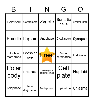 Cell Division Bingo Card