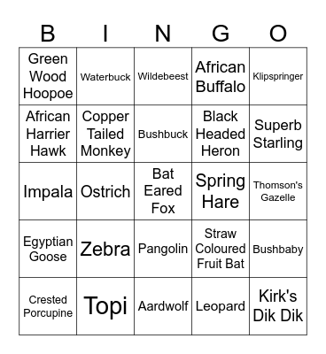 Giles' Safari Search Bingo Card