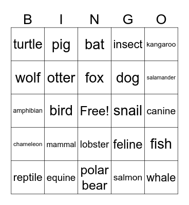 Science Bingo Card