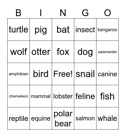 Science Bingo Card