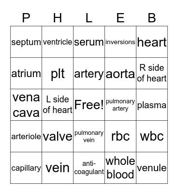 Heart and Blood Bingo Card