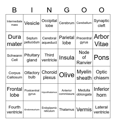 Lab 9 - Brain Bingo Card