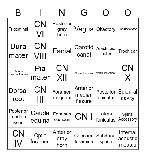Lab 10 - Spine and Nerves Bingo Card