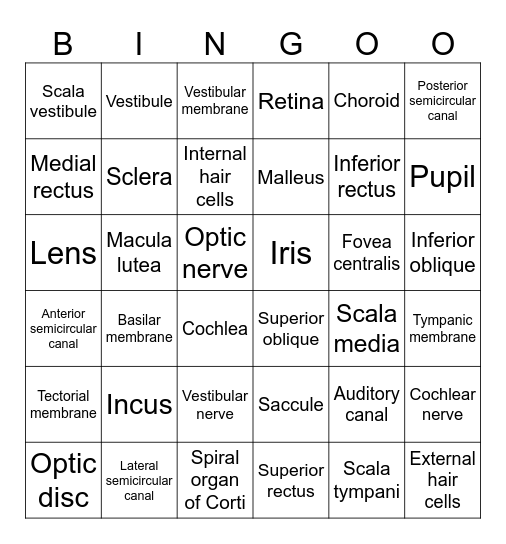 Lab 11 Bingo - Special Senses Bingo Card