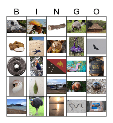 PNG Bingo Card