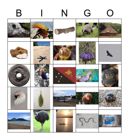 PNG Bingo Card