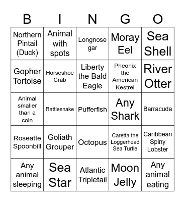 Charleston Aquarium Bingo Card
