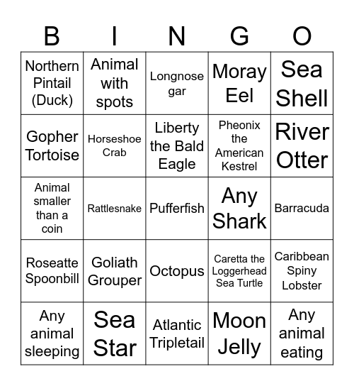 Charleston Aquarium Bingo Card