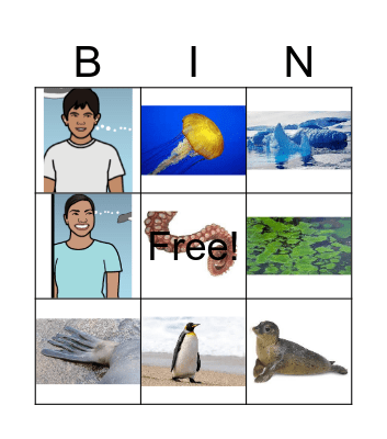 Ocean Network Bingo Card