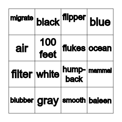 WHALE BINGO Card