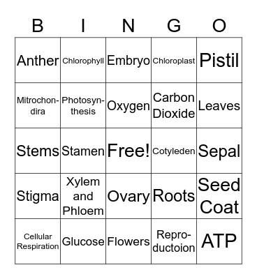 Plants/Photosynthesis/Cellular Respiration Bingo Card