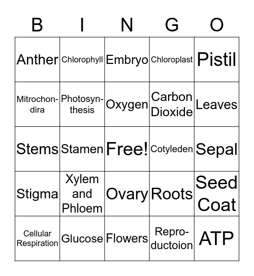 Plants/Photosynthesis/Cellular Respiration Bingo Card