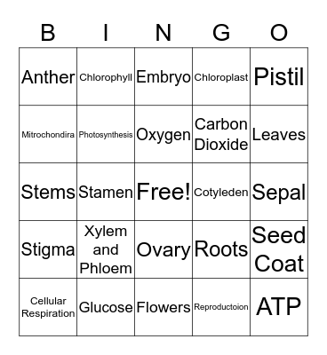 Plants/Photosynthesis/Cellular Respiration Bingo Card