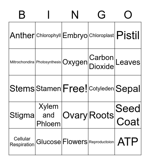 Plants/Photosynthesis/Cellular Respiration Bingo Card